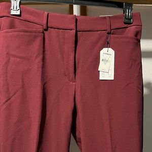 Burgundy Dress Pants
